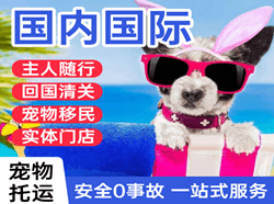 柳州机场快运国际宠物托运 【国